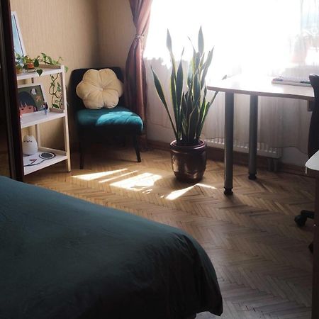 Cozy Room In Kaunas Eksteriør billede